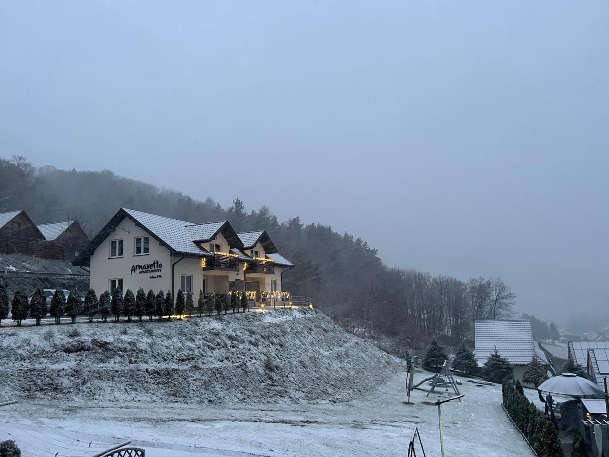 Amaretto Apartamenty Solina - Balia Z Jacuzzi I Sauna Solina (Podkarpackie) Dış mekan fotoğraf