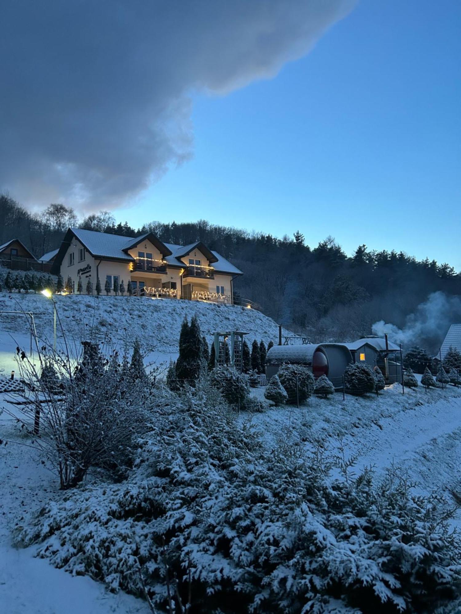 Amaretto Apartamenty Solina - Balia Z Jacuzzi I Sauna Solina (Podkarpackie) Dış mekan fotoğraf
